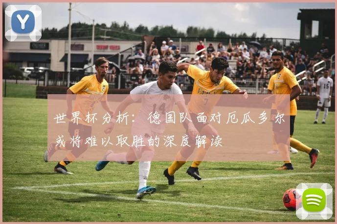 世界杯分析：德国队面对厄瓜多尔或将难以取胜的深度解读